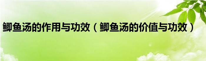 鯽魚湯的作用與功效（鯽魚湯的價(jià)值與功效）