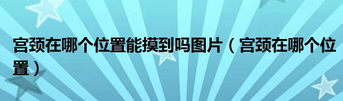 宮頸在哪個位置能摸到嗎圖片（宮頸在哪個位置）