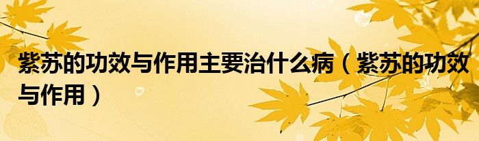 紫蘇的功效與作用主要治什么?。ㄗ咸K的功效與作用）