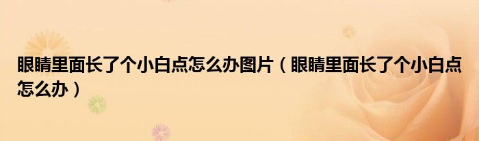 眼睛里面長了個小白點(diǎn)怎么辦圖片（眼睛里面長了個小白點(diǎn)怎么辦）