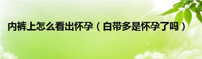 內(nèi)褲上怎么看出懷孕（白帶多是懷孕了嗎）