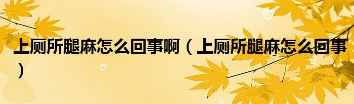 上廁所腿麻怎么回事?。ㄉ蠋嚷樵趺椿厥拢? /></span>
		<span id=