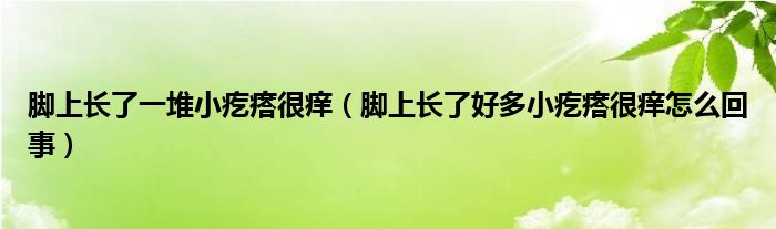 腳上長了一堆小疙瘩很癢（腳上長了好多小疙瘩很癢怎么回事）