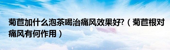 菊苣加什么泡茶喝治痛風(fēng)效果好?（菊苣根對痛風(fēng)有何作用）