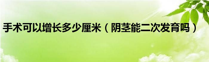 手術(shù)可以增長(zhǎng)多少厘米（陰莖能二次發(fā)育嗎）