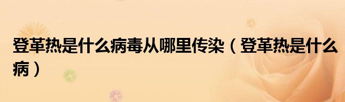 登革熱是什么病毒從哪里傳染（登革熱是什么?。? /></span>
		<span id=