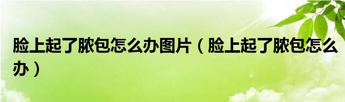 臉上起了膿包怎么辦圖片（臉上起了膿包怎么辦）