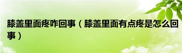 膝蓋里面疼咋回事（膝蓋里面有點疼是怎么回事）