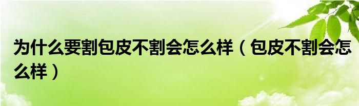 為什么要割包皮不割會(huì)怎么樣（包皮不割會(huì)怎么樣）