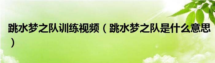 跳水夢之隊訓練視頻（跳水夢之隊是什么意思）