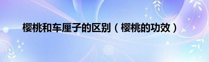 櫻桃和車?yán)遄拥膮^(qū)別（櫻桃的功效）