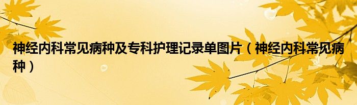 神經(jīng)內(nèi)科常見病種及專科護(hù)理記錄單圖片（神經(jīng)內(nèi)科常見病種）