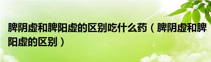 脾陰虛和脾陽虛的區(qū)別吃什么藥（脾陰虛和脾陽虛的區(qū)別）