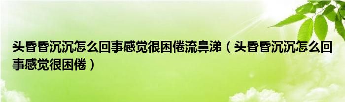 頭昏昏沉沉怎么回事感覺很困倦流鼻涕（頭昏昏沉沉怎么回事感覺很困倦）