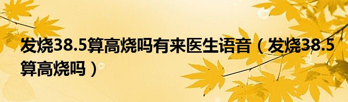 發(fā)燒38.5算高燒嗎有來醫(yī)生語音（發(fā)燒38.5算高燒嗎）