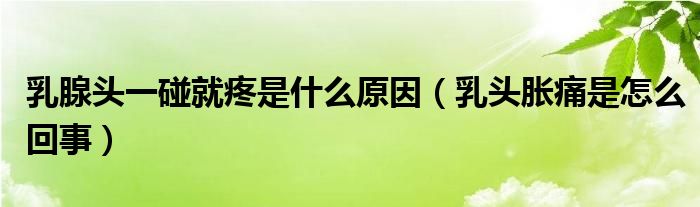 乳腺頭一碰就疼是什么原因（乳頭脹痛是怎么回事）