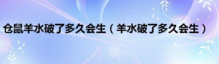 倉(cāng)鼠羊水破了多久會(huì)生（羊水破了多久會(huì)生）