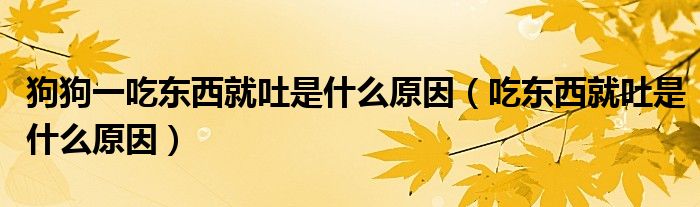 狗狗一吃東西就吐是什么原因（吃東西就吐是什么原因）