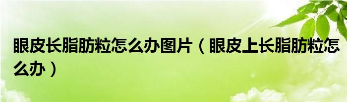 眼皮長(zhǎng)脂肪粒怎么辦圖片（眼皮上長(zhǎng)脂肪粒怎么辦）