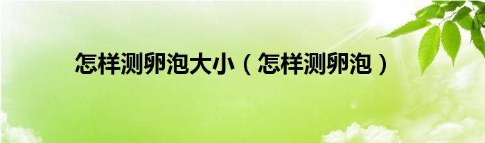 怎樣測(cè)卵泡大?。ㄔ鯓訙y(cè)卵泡）