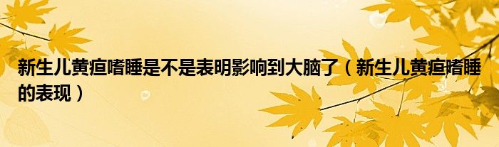 新生兒黃疸嗜睡是不是表明影響到大腦了（新生兒黃疸嗜睡的表現(xiàn)）