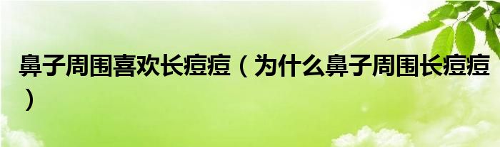 鼻子周圍喜歡長痘痘（為什么鼻子周圍長痘痘）