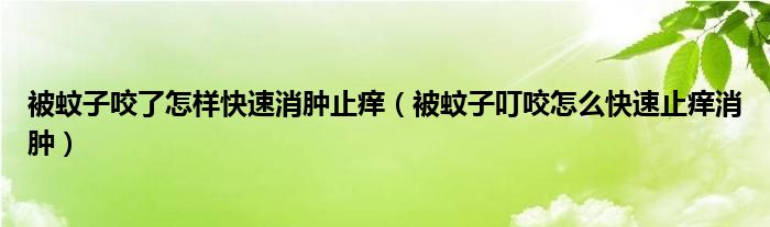 被蚊子咬了怎樣快速消腫止癢（被蚊子叮咬怎么快速止癢消腫）