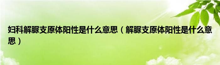 婦科解脲支原體陽(yáng)性是什么意思（解脲支原體陽(yáng)性是什么意思）