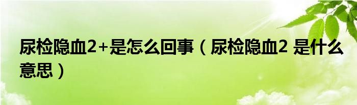 尿檢隱血2+是怎么回事（尿檢隱血2 是什么意思）