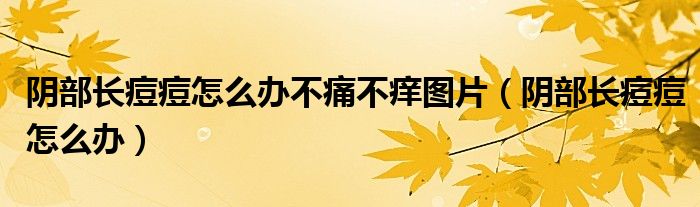 陰部長(zhǎng)痘痘怎么辦不痛不癢圖片（陰部長(zhǎng)痘痘怎么辦）