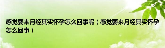 感覺要來月經(jīng)其實(shí)懷孕怎么回事呢（感覺要來月經(jīng)其實(shí)懷孕怎么回事）