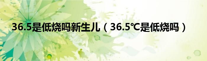 36.5是低燒嗎新生兒（36.5℃是低燒嗎）