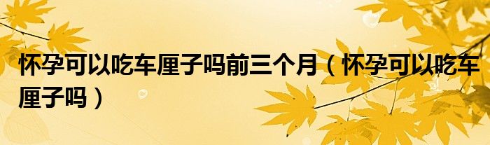 懷孕可以吃車?yán)遄訂崆叭齻€(gè)月（懷孕可以吃車?yán)遄訂幔?class='thumb lazy' /></a>
		    <header>
		<h2><a  href=