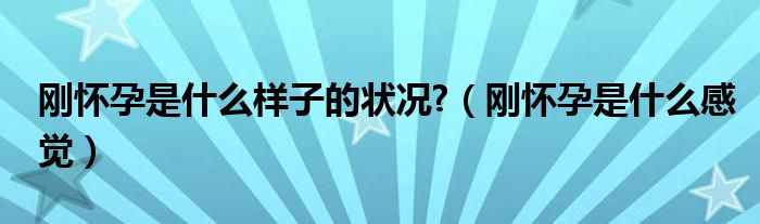 剛懷孕是什么樣子的狀況?（剛懷孕是什么感覺）