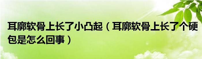 耳廓軟骨上長(zhǎng)了小凸起（耳廓軟骨上長(zhǎng)了個(gè)硬包是怎么回事）