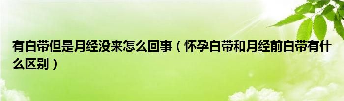 有白帶但是月經(jīng)沒(méi)來(lái)怎么回事（懷孕白帶和月經(jīng)前白帶有什么區(qū)別）