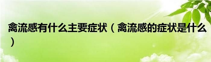 禽流感有什么主要癥狀（禽流感的癥狀是什么）