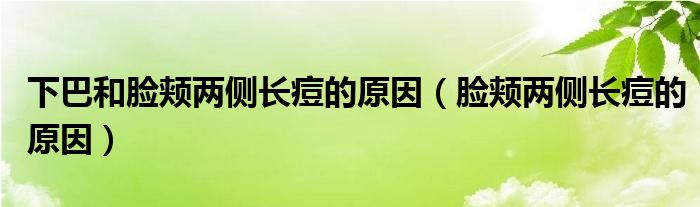 下巴和臉頰兩側(cè)長痘的原因（臉頰兩側(cè)長痘的原因）