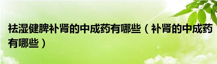 祛濕健脾補(bǔ)腎的中成藥有哪些（補(bǔ)腎的中成藥有哪些）