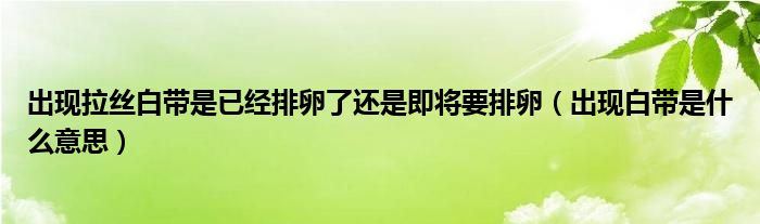 出現拉絲白帶是已經排卵了還是即將要排卵（出現白帶是什么意思）