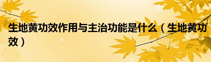 生地黃功效作用與主治功能是什么（生地黃功效）