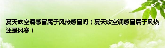 夏天吹空調(diào)感冒屬于風(fēng)熱感冒嗎（夏天吹空調(diào)感冒屬于風(fēng)熱還是風(fēng)寒）