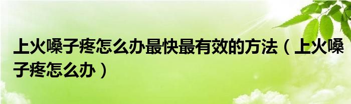 上火嗓子疼怎么辦最快最有效的方法（上火嗓子疼怎么辦）