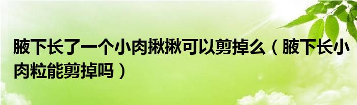 腋下長(zhǎng)了一個(gè)小肉揪揪可以剪掉么（腋下長(zhǎng)小肉粒能剪掉嗎）