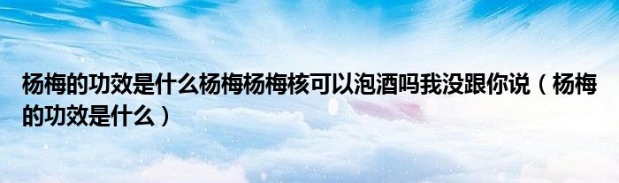 楊梅的功效是什么楊梅楊梅核可以泡酒嗎我沒跟你說（楊梅的功效是什么）