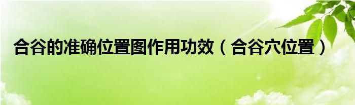 合谷的準(zhǔn)確位置圖作用功效（合谷穴位置）