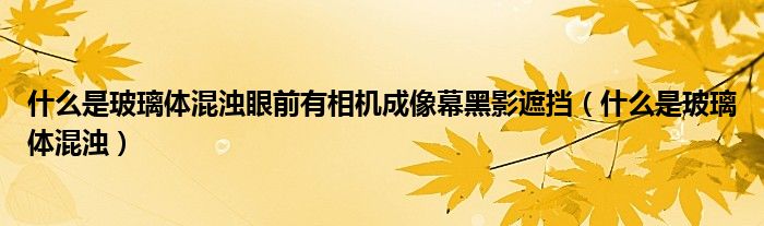 什么是玻璃體混濁眼前有相機成像幕黑影遮擋（什么是玻璃體混濁）