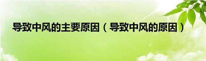 導(dǎo)致中風(fēng)的主要原因（導(dǎo)致中風(fēng)的原因）