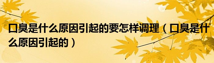 口臭是什么原因引起的要怎樣調理（口臭是什么原因引起的）