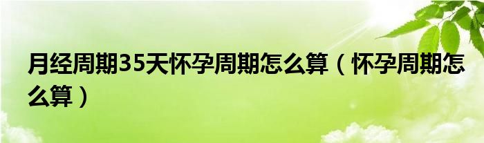 月經(jīng)周期35天懷孕周期怎么算（懷孕周期怎么算）